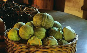 Courgettes biologiques