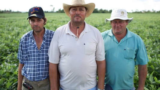 © Marcus Winterbauer